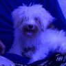 Profilbild von Franklin The Don 💎🦅