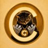 Profilbild von Eddie O.