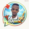 Bruno Anderson Wabenga 的头像