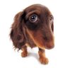 lulu's profile picture