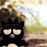 lataskorr profil fotoğrafı
