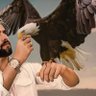 سالم محمد سالم's profile picture