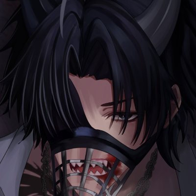 LievVT's profile picture