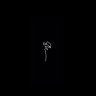 kamikaze's profile picture