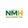 Naija Money Hub 的头像