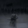 Arena's profile picture