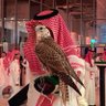 Profilbild von مروان | HR