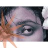 Snjevni 的头像