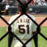 Oracle Free Section 🔻's profile picture
