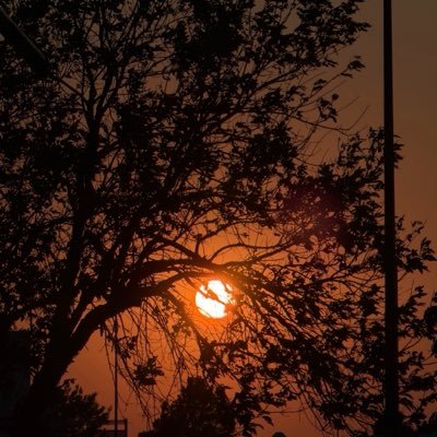 Dante's profile picture