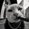 Ceylan's profile picture