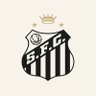 RUMO À LIBERTADORES (38/45) 的头像