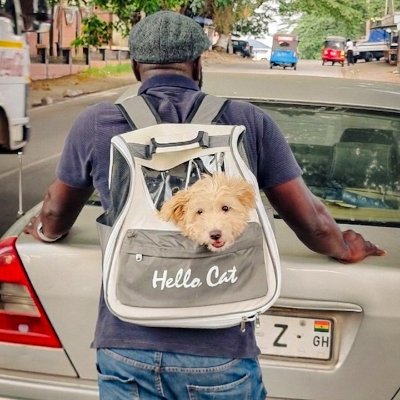 domynych's profile picture