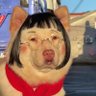 Profilbild von 饺子
