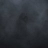 Y's profile picture