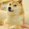山ちゃん profil fotoğrafı