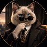 CatKnowWhy's profile picture
