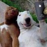 aLongHardDay's profile picture