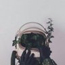Sebastian's profile picture