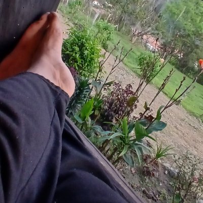 protesta88's profile picture