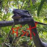 ダンボールの抜け殻 profil fotoğrafı