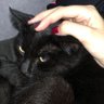 billu profil fotoğrafı