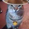 Profilbild von irem