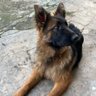 Profilbild von Xiaozelei