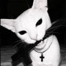 Фото профиля Blurry♱
