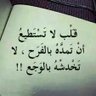 عمر الحامدي profil fotoğrafı