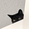 birch's profile picture