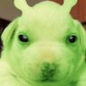Voombii 🍏🎒's profile picture