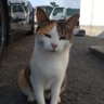 や's profile picture