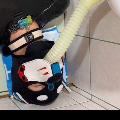 msb0BpnkHCQCFDe's profile picture