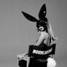 levy🐰's profile picture