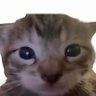 Profilbild von Hunter