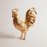 zanderoni 的头像