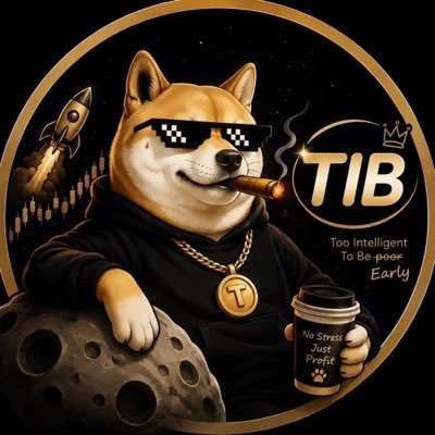 TIB_BNB's profile picture