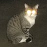 ãã
ããã¡ ç倎å