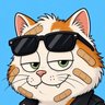ScarCat profil fotoğrafı