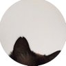 Profilbild von SHQ