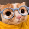 Profilbild von Easing