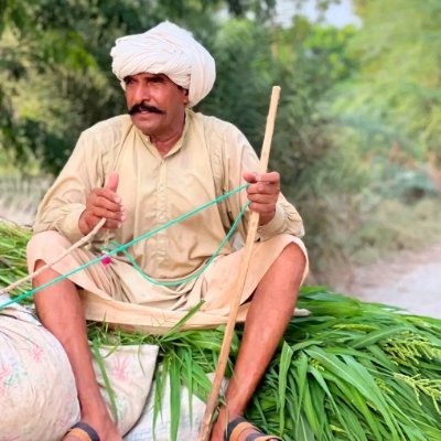 ranjha4mm's profile picture