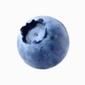 Profilbild von 张乐