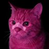 Feldwebel Katze's profile picture