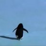 Profilbild von Lost Penguin