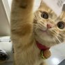 X_7cii profil fotoğrafı