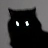 xera's profile picture