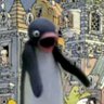 Profilbild von Pingu Low Quality