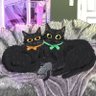 Фото профиля TwoBlackCats42